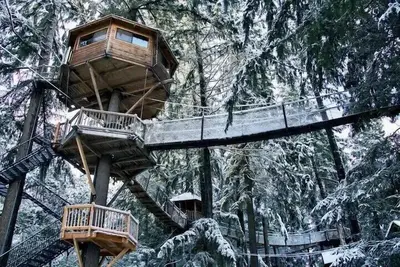 Image de Stunning 47 foot high Treehouse!