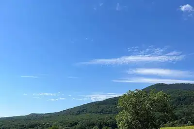Image de Chambre d’hôte au milieu des vignes