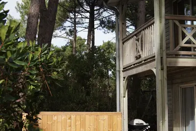 Image de Rez-de-jardin dans belle villa au Canon, (Cap Ferret) Bassin d'Arcachon