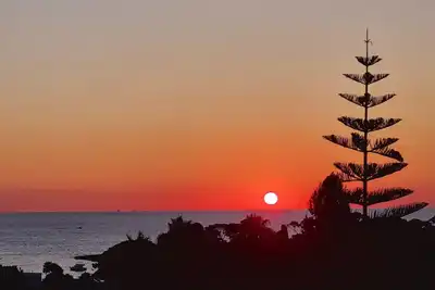 Image de Cap d'Antibes, 5 minutes from La Garoupe beach on foot, recently renovated apartment