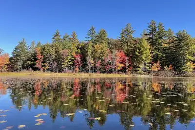 Rustic and luxurious 4 bedroom house on secluded Nh lake!