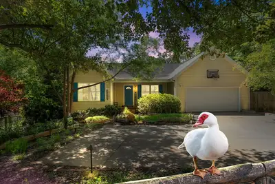 Image de Delightful Duck Farm cottage, 5 min walk to State Park! Gated, a hidden gem!