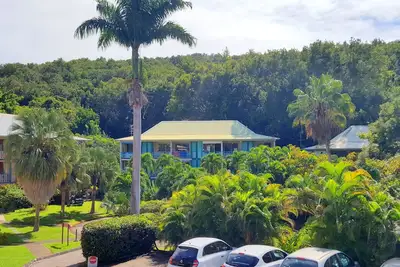 Image de Oasis Verde - Studio