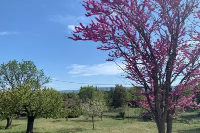 Image de La Lavande - Maison de Vacances en Provence Avec Piscine Privée et Jardin Arboré