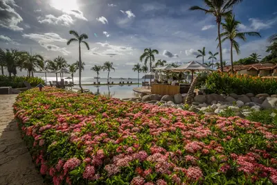 Image de Beach front property, White sand beaches, Beautiful Playa Flamingo