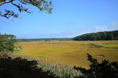 Image de Heron House - Expansive Salt Marsh Views