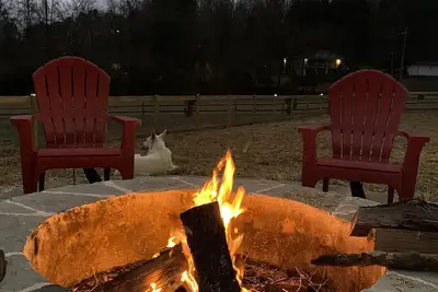 Image de WeLoveALLDogs/FullyFencedYards/Firepit/Views/2King