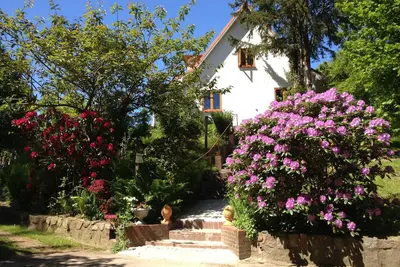 Image de Hale Aloha - Wood-burning stove paradise garden 7-person house. Nature park vacation with dog