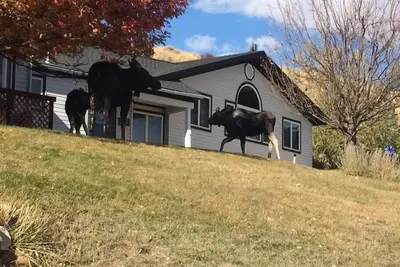 Image de In town Red Lodge property with in home recreation.