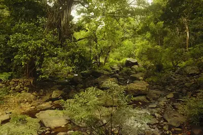 Image de A home away from the echoes of crowd and civilization