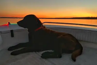 Image de Pet Friendly house on Fish River, private pier with kayaks