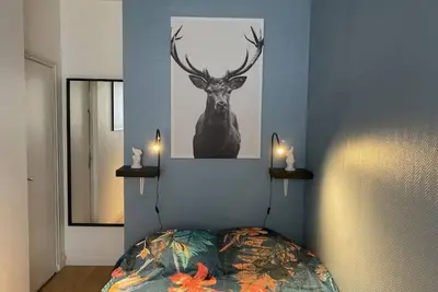 Image de Chic & Cosy F1 Centre Gare Chateaucreux Netflix