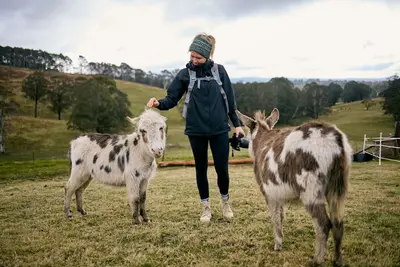 Image de Ultimate farmstay experience - 5 minutes from Jenolan