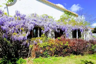 Image de Maison indépendante dans belle propriété au milieu des vignoble, grande piscine