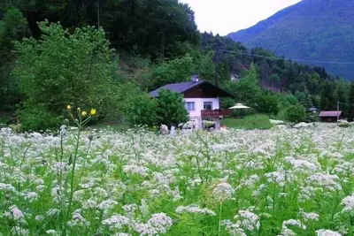 Civettini House 100 mt from the lake