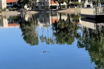 Image de ❤️Lake-Style Bliss❤️\nSerene condo with lake views, and modern amenities.