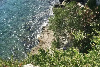 Image de Gelso nero