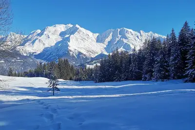 Image de Nid Douillet Face au Mont Blanc, Emplacement Idéal été / Hiver