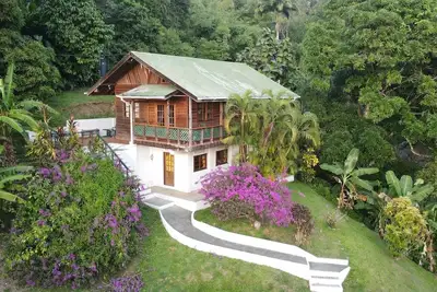 Image de Toad Heights, Castara, Tobago stunning rainforest\/ocean views 5 mins from beach.