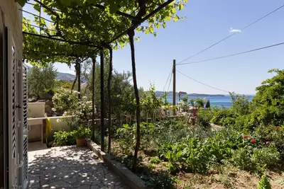 Image de Apartments Olive