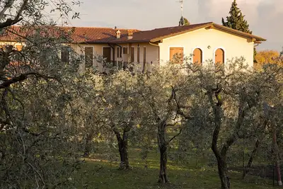 Image de House in the Olive Trees-For a relaxing vacation at the lake.