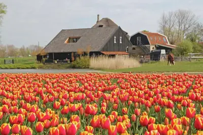 Image de Maison de vacances romantique