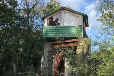 Tree house and shepherds hut