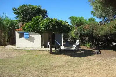 Image de Pieds dans l'eau, Bungalow avec jardin privé en bordure de plage