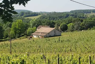 Image de Gîte au coeur des vignes