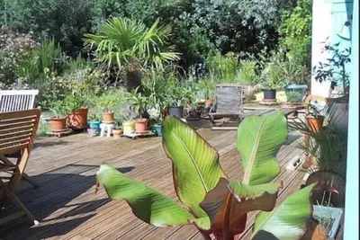 Image de Le Bananier: Appartement dans belle villa de charme \" typique  Canaulaise  \"