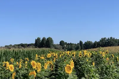 Image de Le bonheur à la campagne!