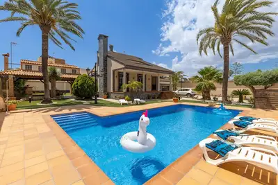 Image de Paradise Palms by Fidalsa