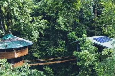 Image de SpectacularJungle Canopy Treehouse