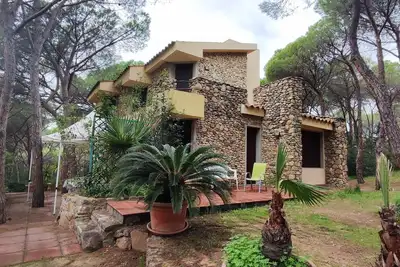 Villa Giancarla immersed in the pine forest a stone's throw from the sea