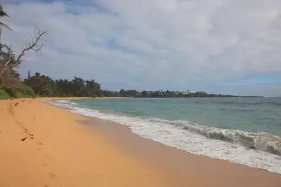 Image de 🌸Moku Paradise🌸 - Beach | Pcc