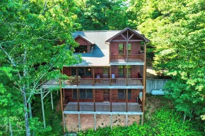 Image de *Mountain View* Bear Pause Mineral Bluff Ga - Blue Ridge Ga - East Tn - West Nc