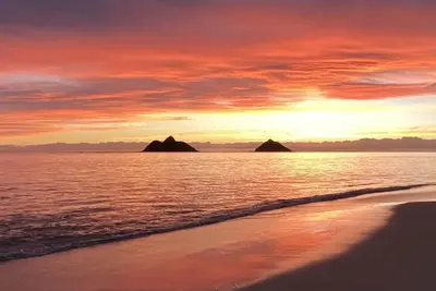 Image de Beautifully remodeled Lanikai house, spacious inside alot of green space outside