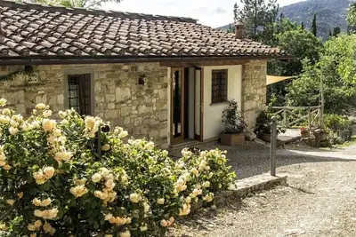 Image de Vineyard cottage, 30 minutes to Florence