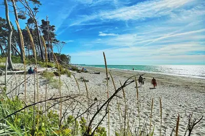 Image de Vacation cottage Windlooper 2