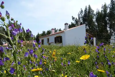 Image de Beautiful. house located on a hill