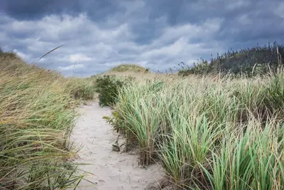 Image de Charming Beach Cottage Located on Dead End Road with Deeded Access to East Sandwich Beach