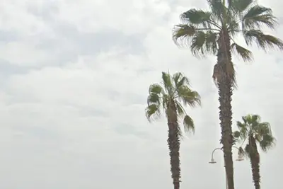 Image de 2beach Line
