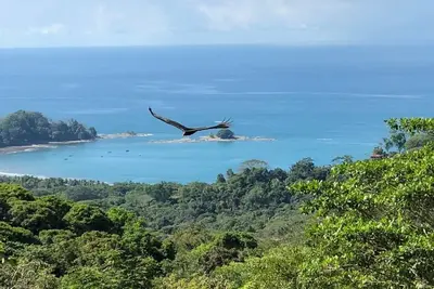Image de Casa Naranja spacious home surrounded by tropical forest with superb bay view