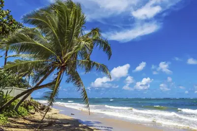Image de Aloha House - w\/ boogie board, snorkel gear!