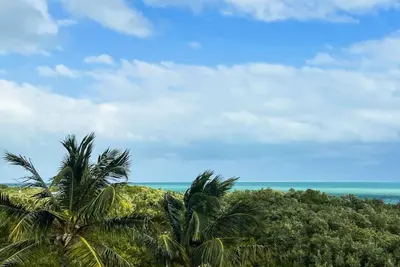 Image de Palms Paradise -Peekaboo View of Atlantic Ocean, 2 Kayaks