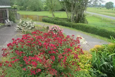 Image de Peaceful Miranda area and less than an hour to Auckland\nSleeps three