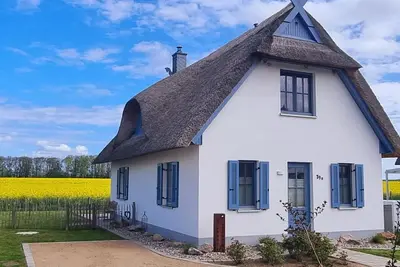 Image de Thatched House Beautiful Life