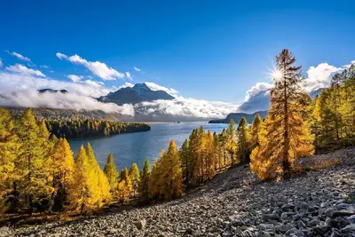 Image de Appartement de vacances Pontresina pour 1 - 4 personnes avec 2 chambres à coucher - Appartement de v