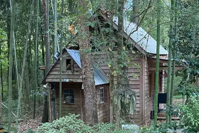 Image de Tin Roof Rusted tiny house -2. 5 miles to downtown, quite, secluded and private!