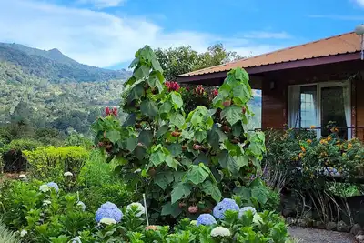 Image de Eco resort: Panama's largest butterfly exhibit, native bee and honey farm